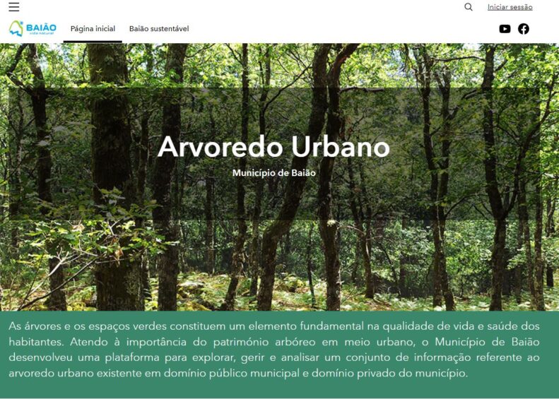 Arvoredo