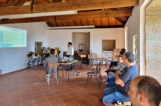 prestac contas mesquinhata 3